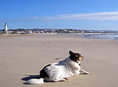 0560 jeffreys bay IMGP5637.JPG